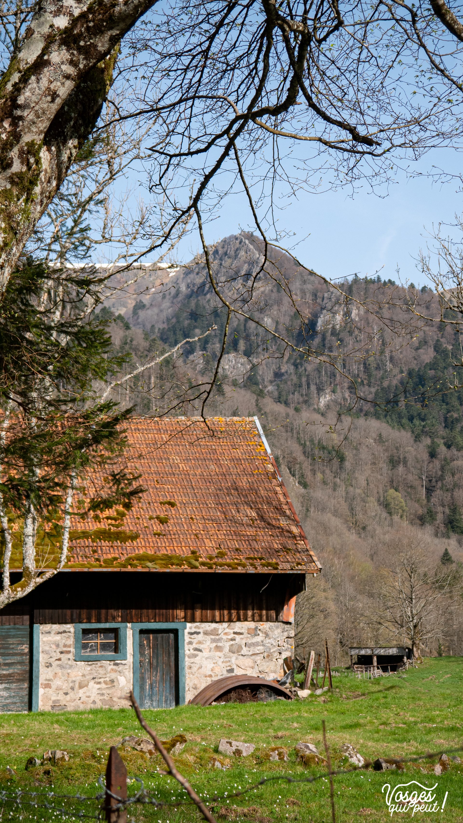 Une ferme traditionnelle dans le Massif des Vosges