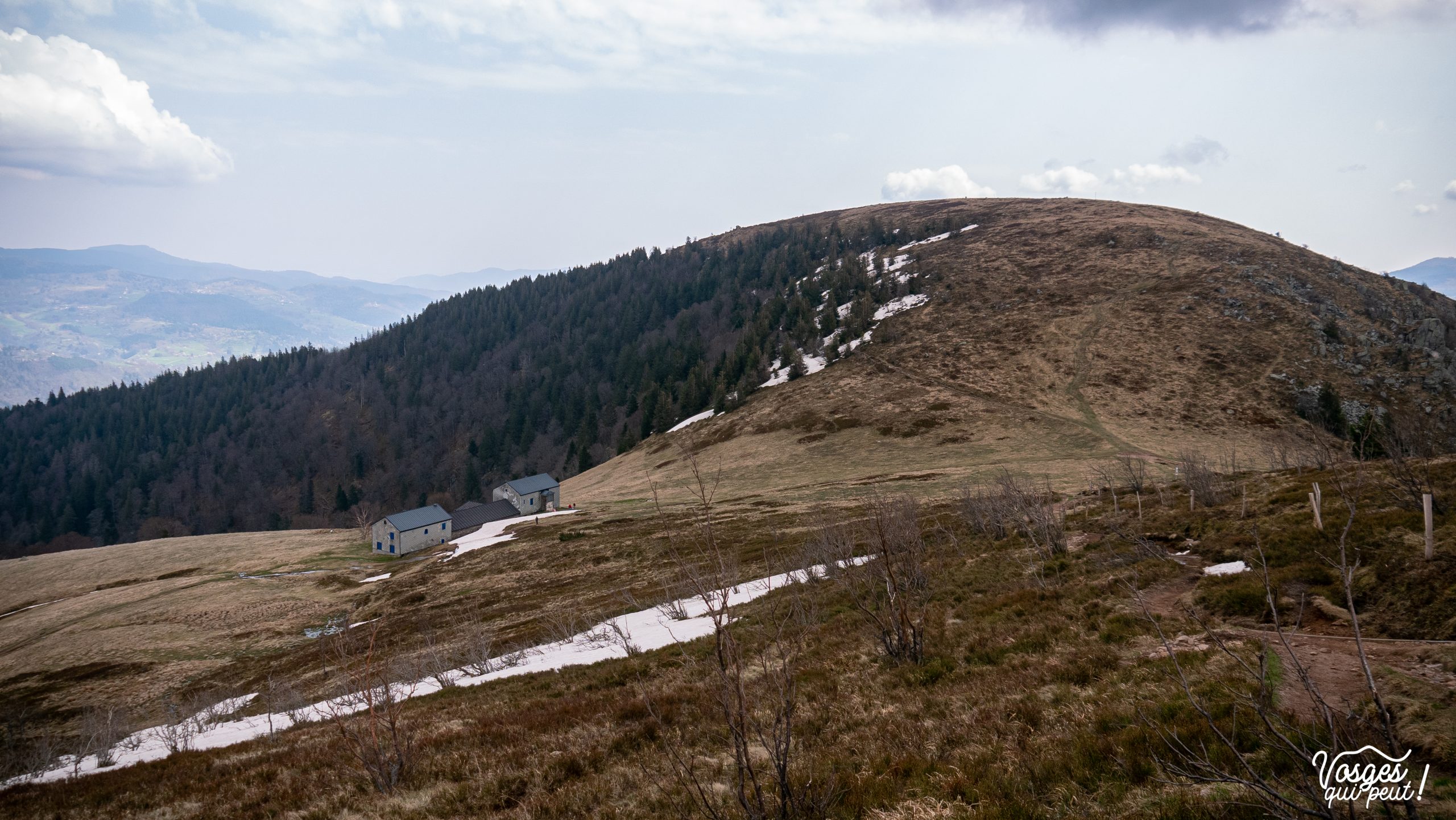 Le Schefferthal dans le Massif des Vosges