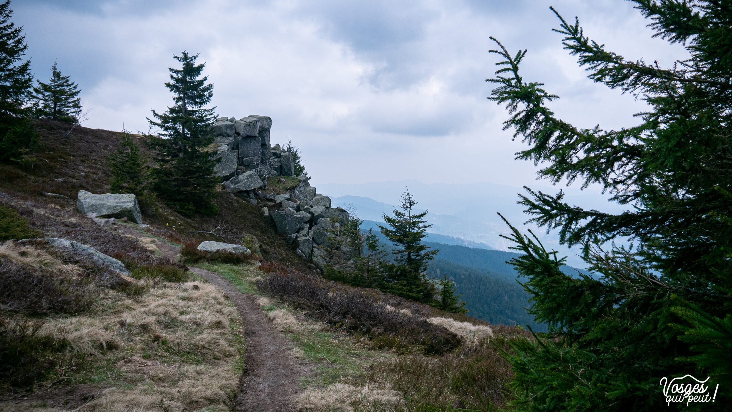 Le rocher de Missheimle dans le Massif des Vosges