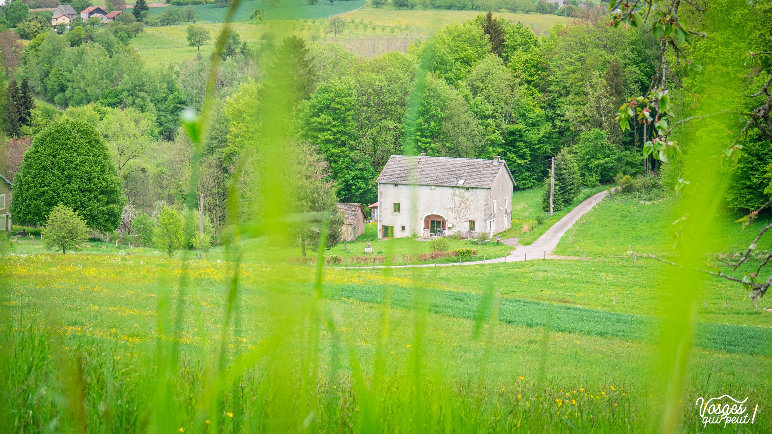 Une ferme traditionnelle dans les Vosges du Sud