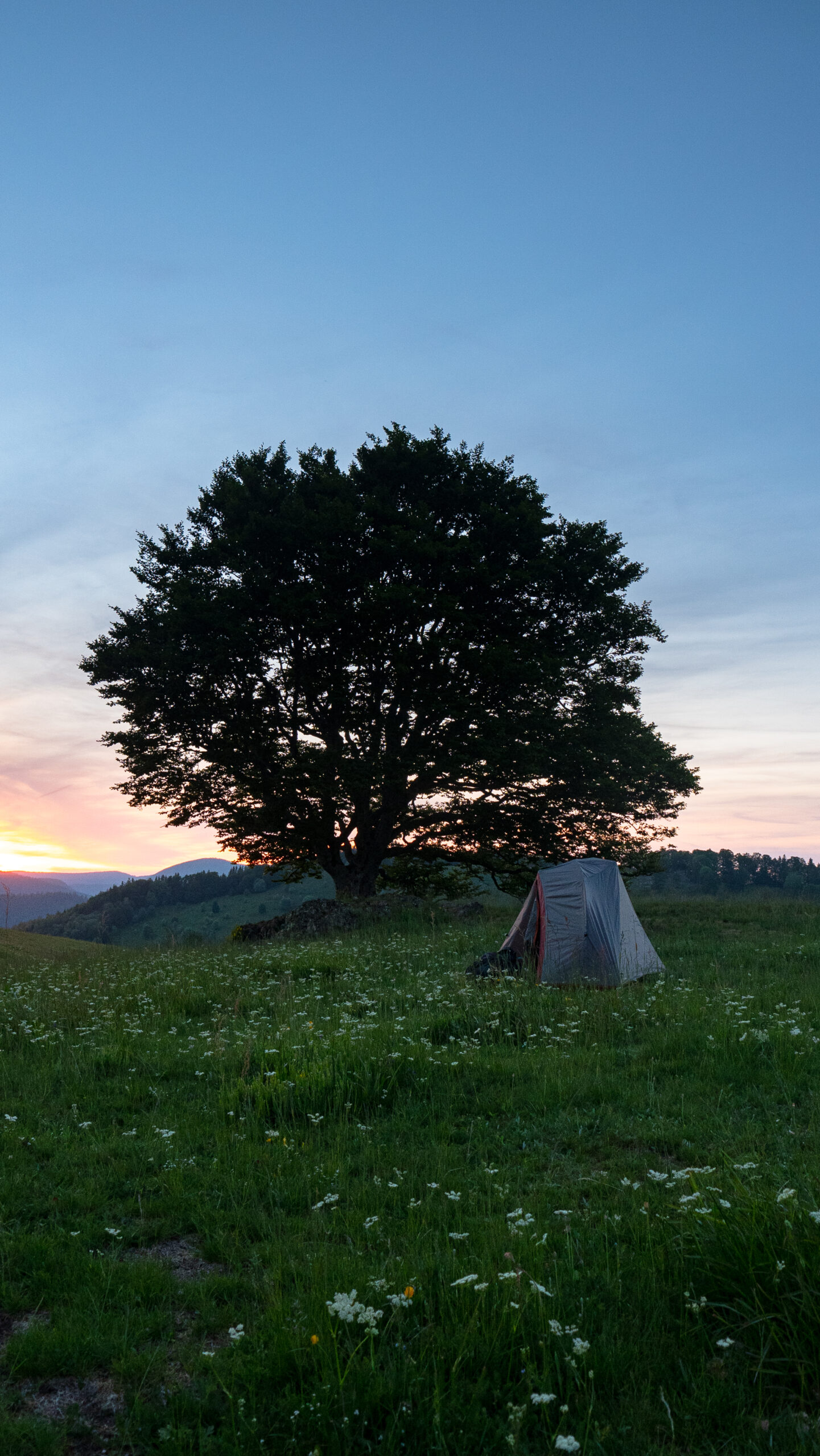 Une tente plantée dans le Massif des Vosges