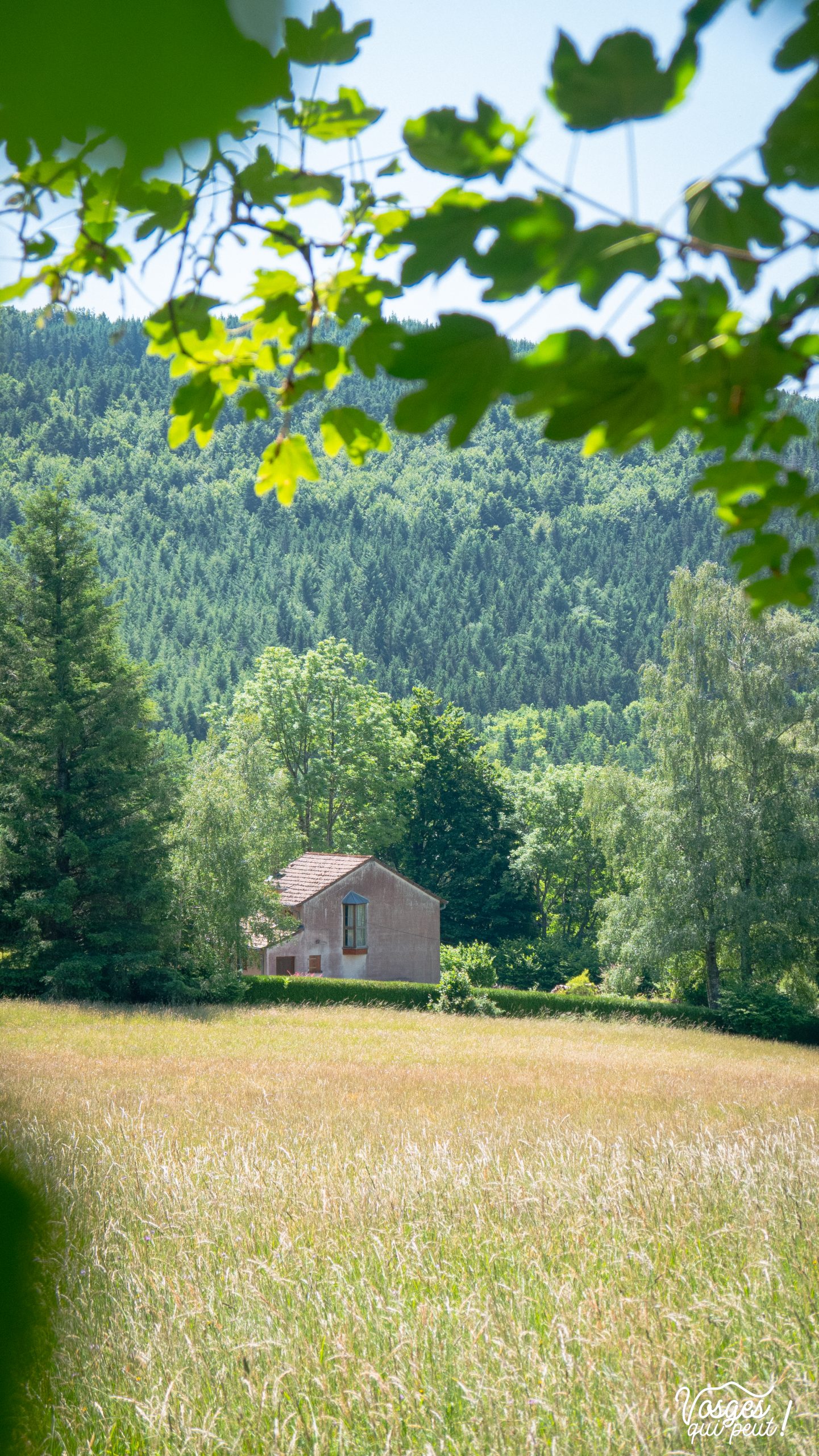 Maison du hameau de Muckenbach dans le Massif des Vosges
