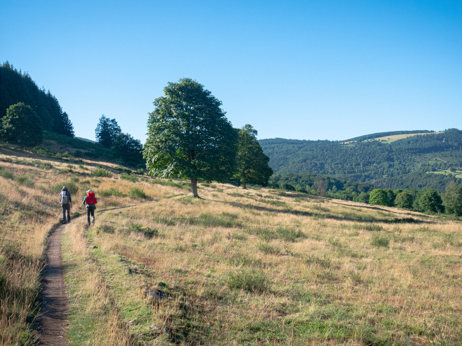 Bivouac dans les Vosges des spots de rêve à découvrir