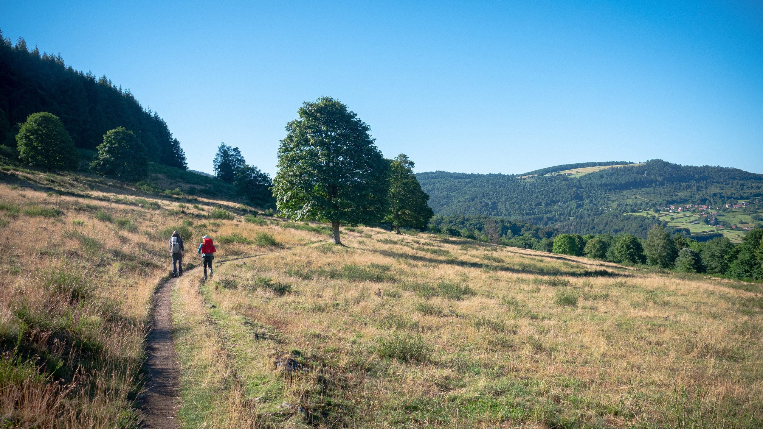 Le Petit Tour de la Bruche : micro-aventure de 3 jours dans les Vosges