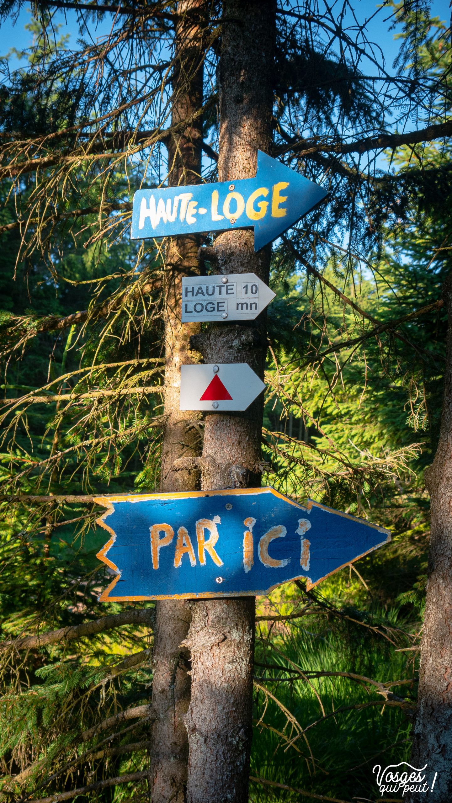 Balisage de randonnée dans le Massif des Vosges