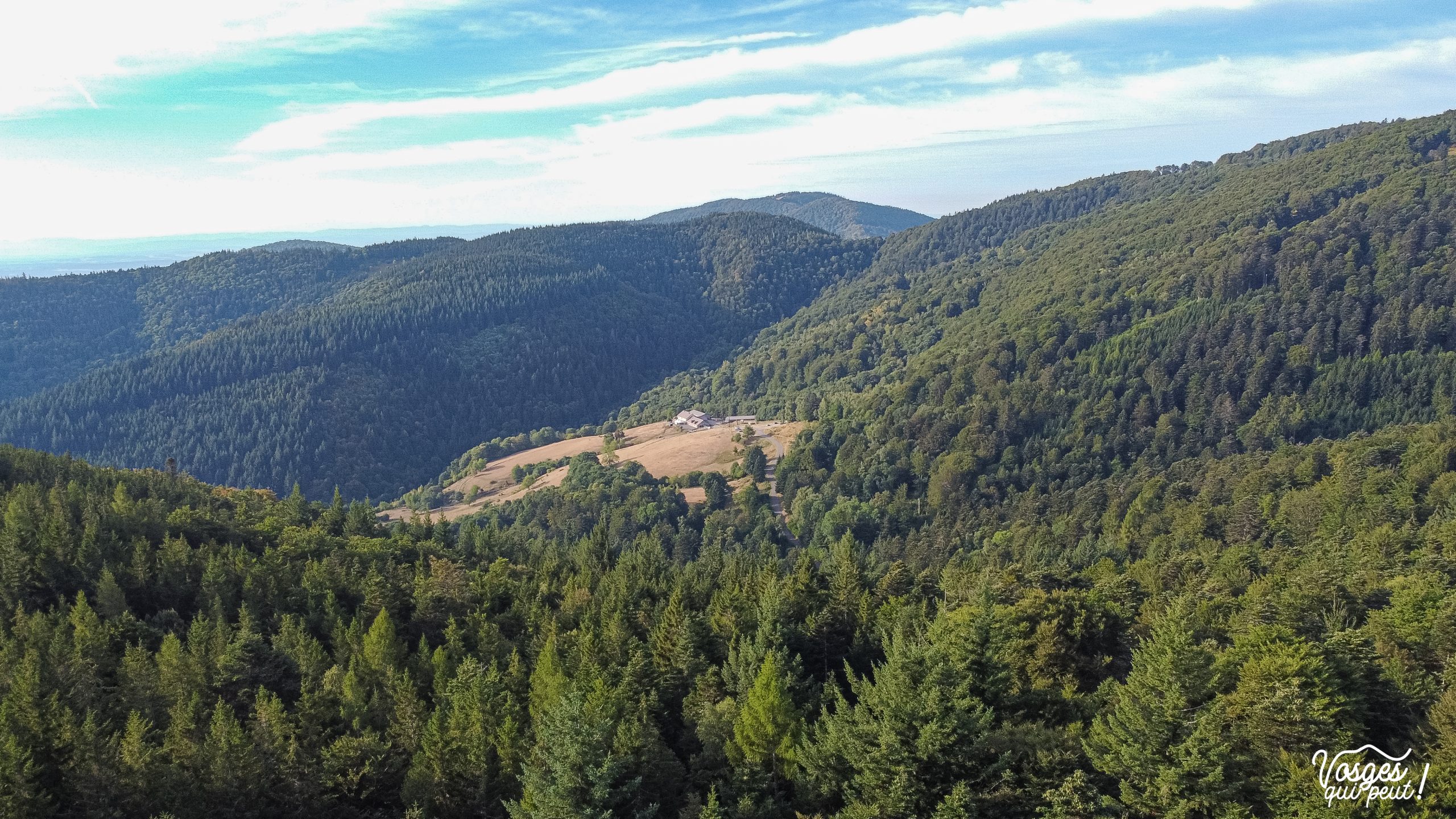 Vue aérienne depuis la Judenhut dans le Massif des Vosges