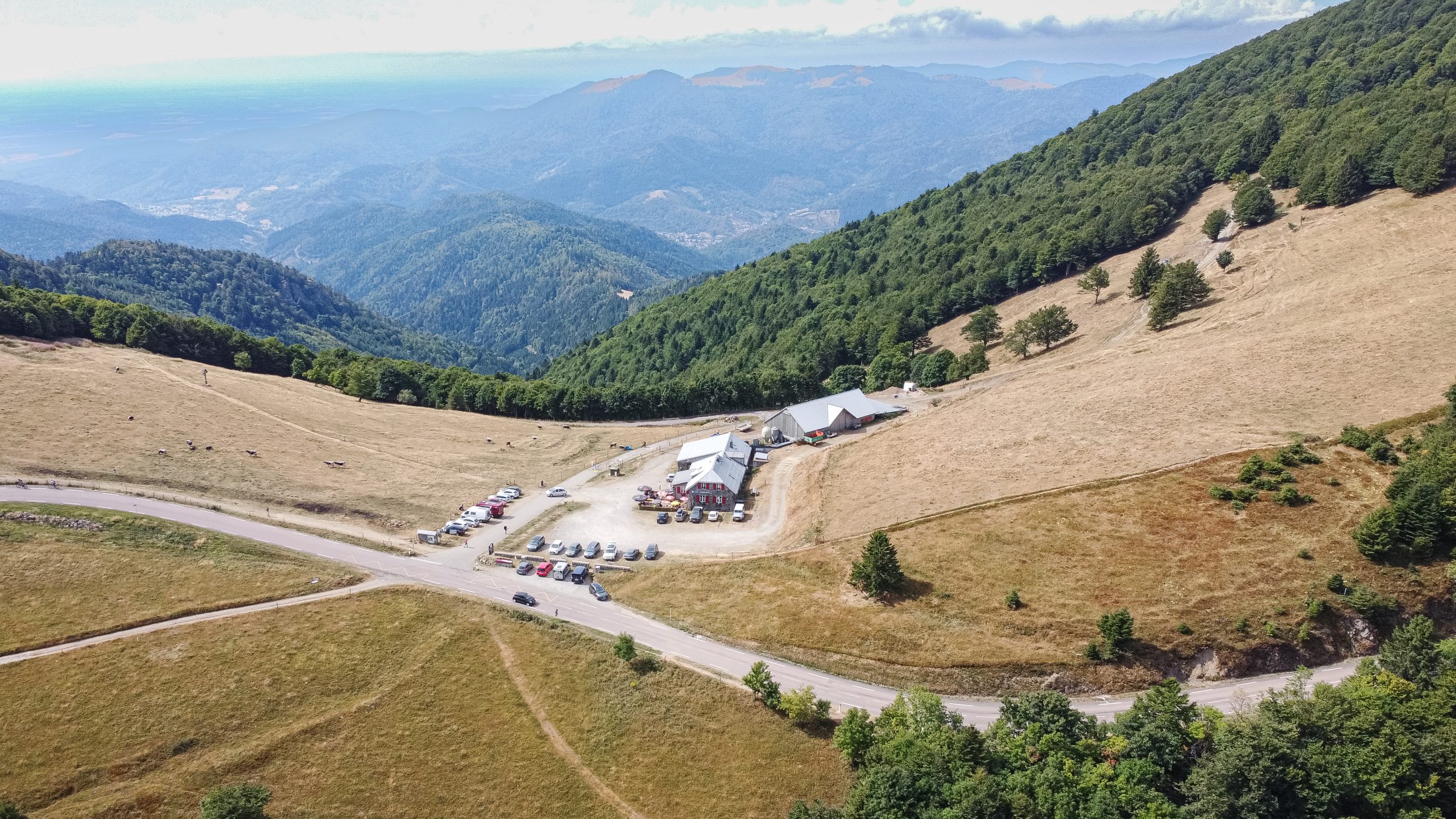 Micro-aventure à la découverte des meilleures ferme-auberge des Vosges