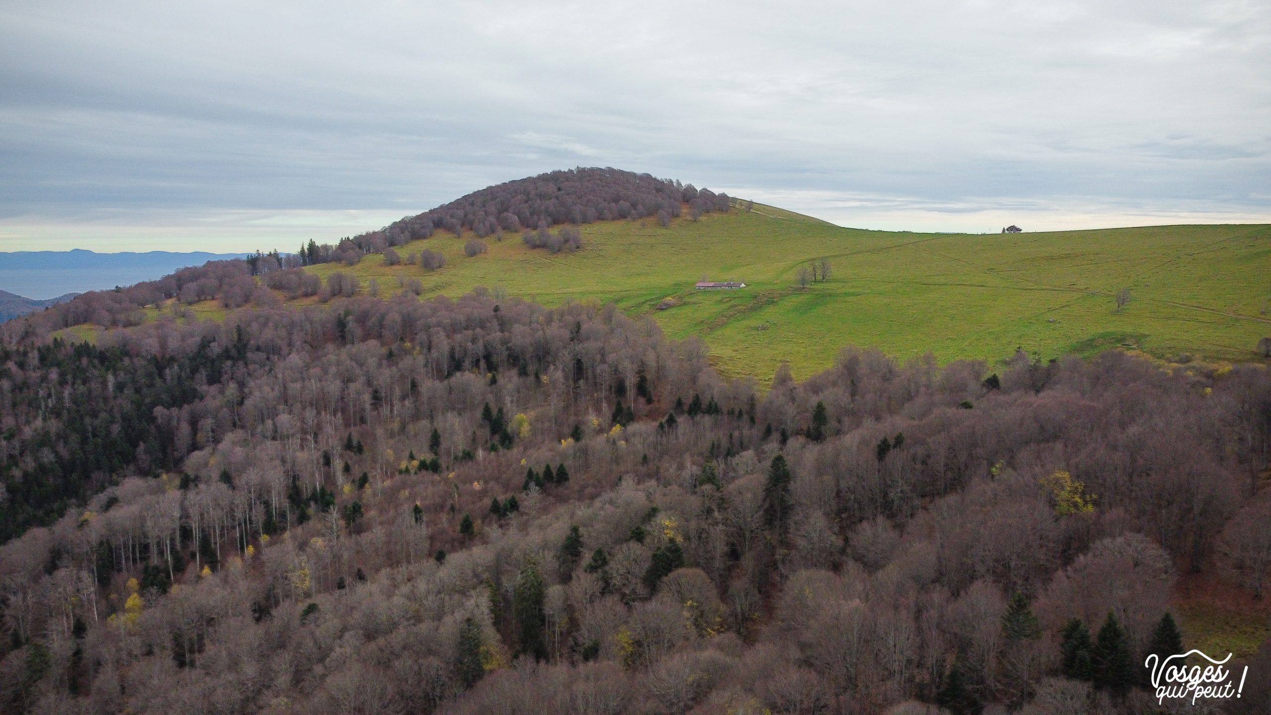Vue sur le Thanner Hubel dans le Massif des Vosges