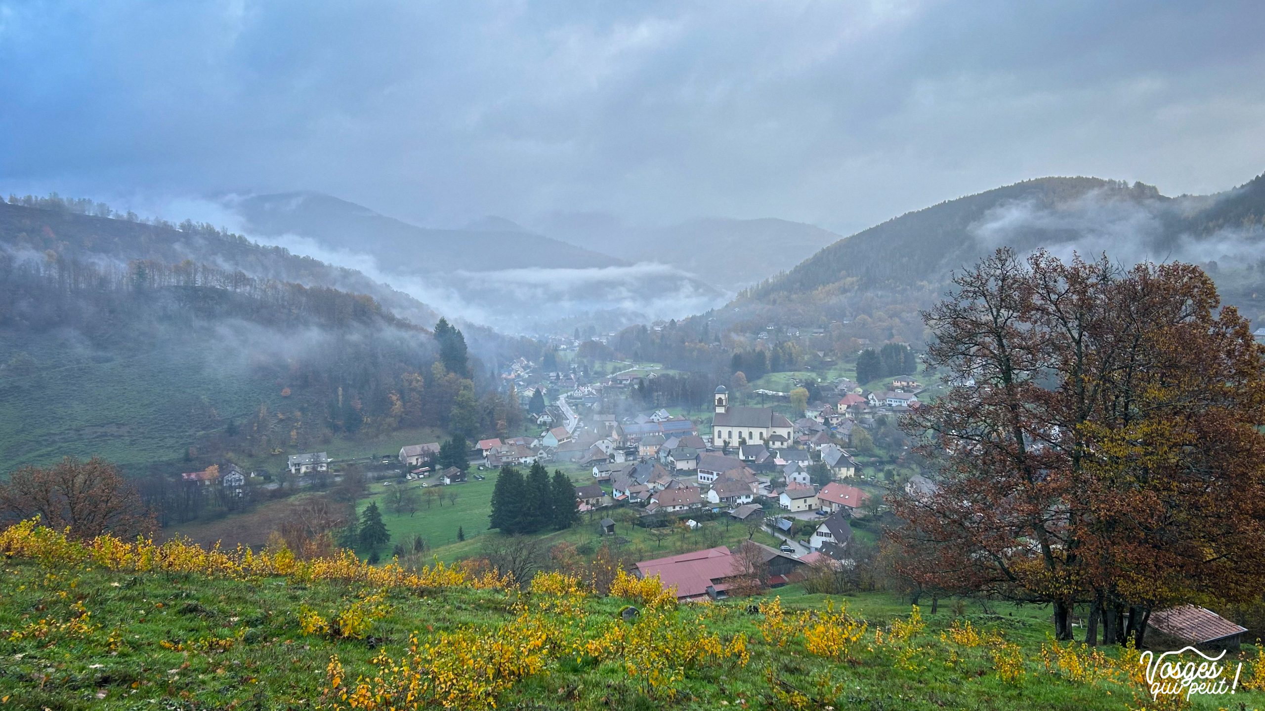 Vue sur le village de Mollau dans le Massif des Vosges