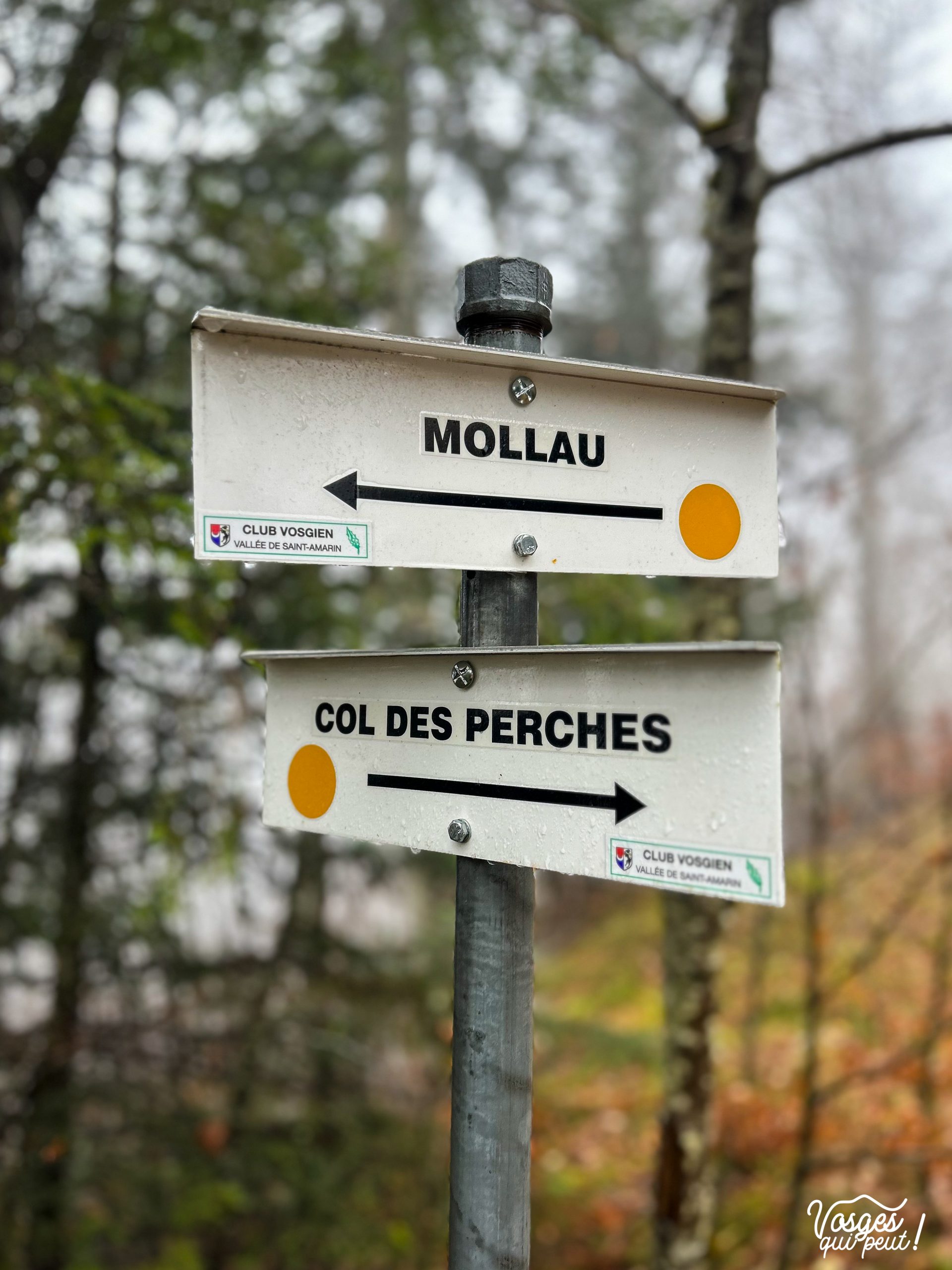 Panneaux directionnels du Club Vosgien dans le Massif des Vosges
