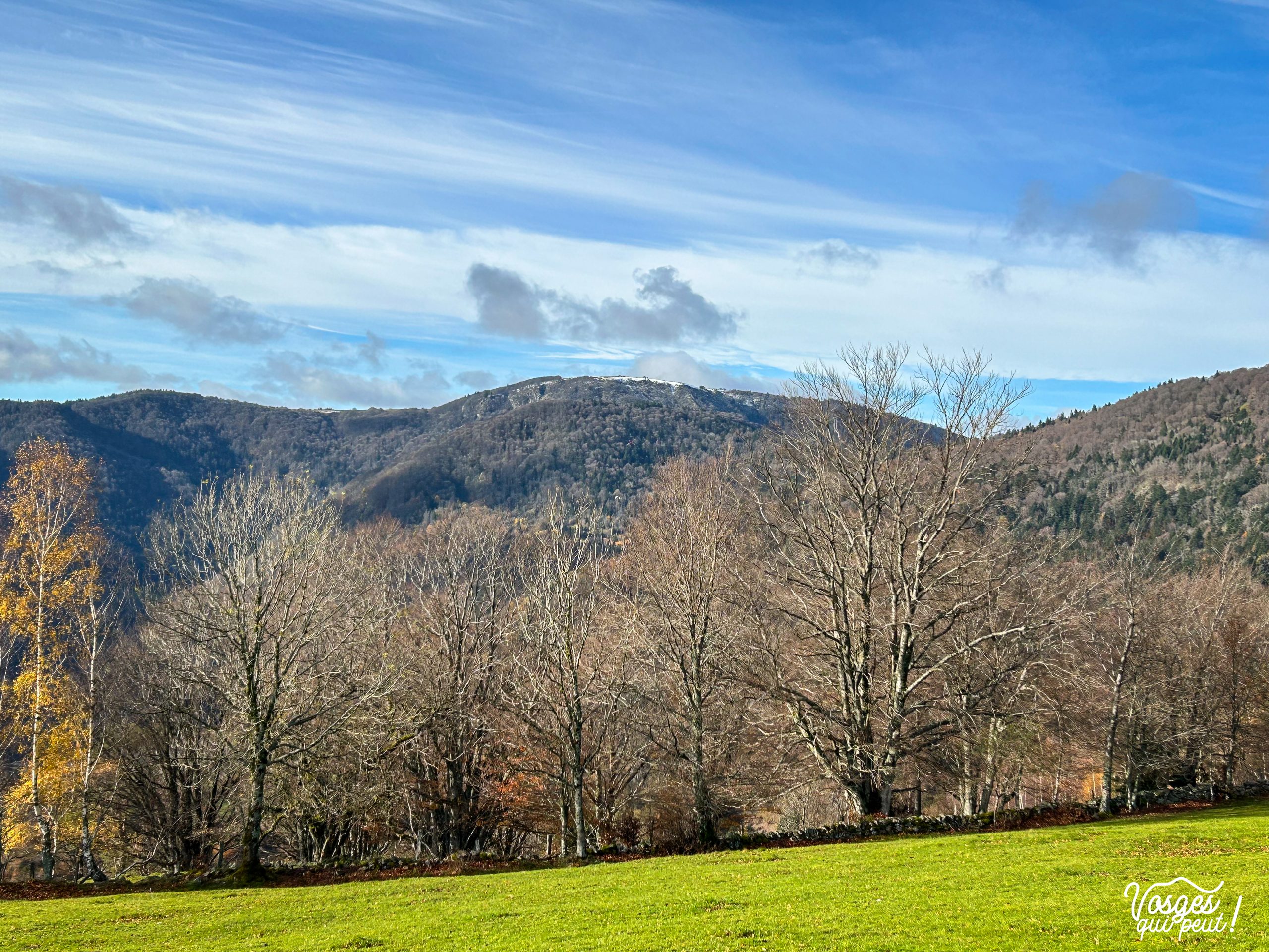 Vue sur le Ballon d'Alsace depuis le Gresson Haut dans le Massif des Vosges