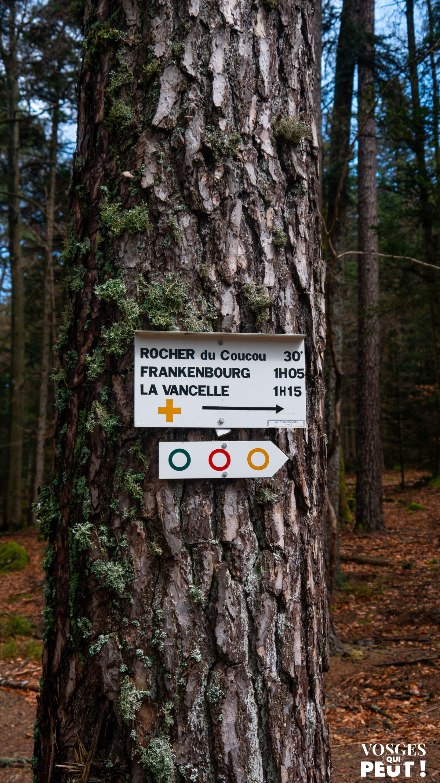 Panneau directionnel dans le Massif des Vosges