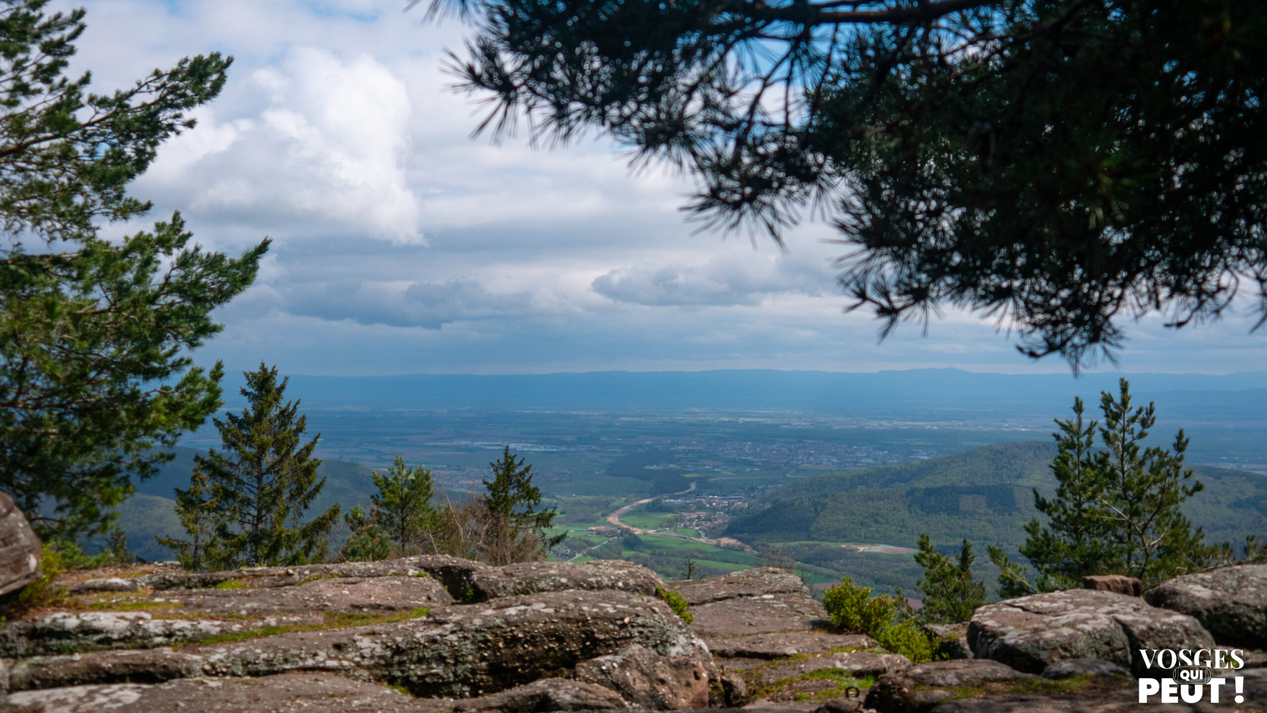 Vue depuis le Rocher du Coucou dans le Massif des Vosges
