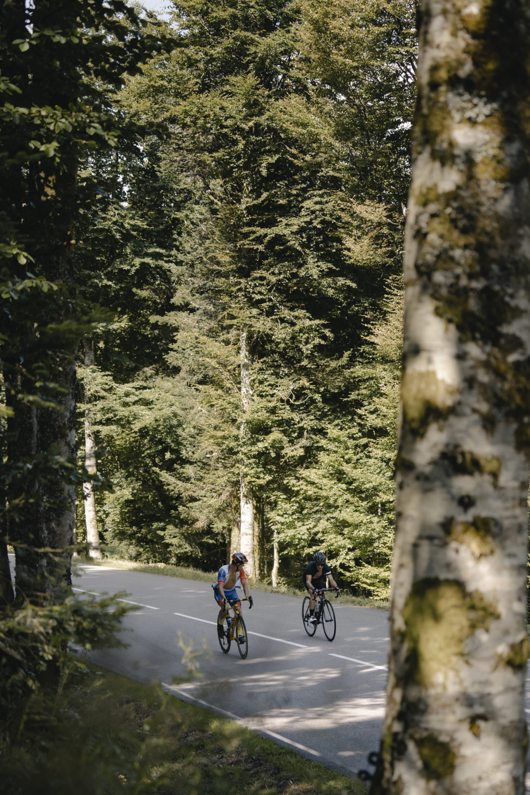 Cyclistes sur un col de Col'Attitude dans le Massif des Vosges