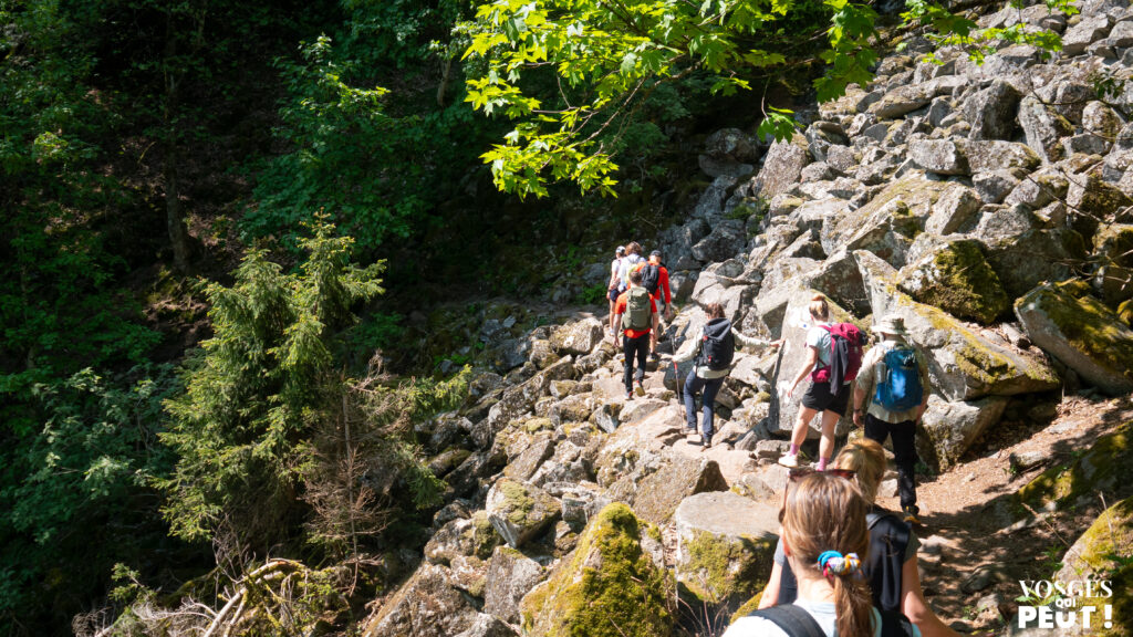 Randonneurs sur le sentier des Roches dans le Massif des Vosges