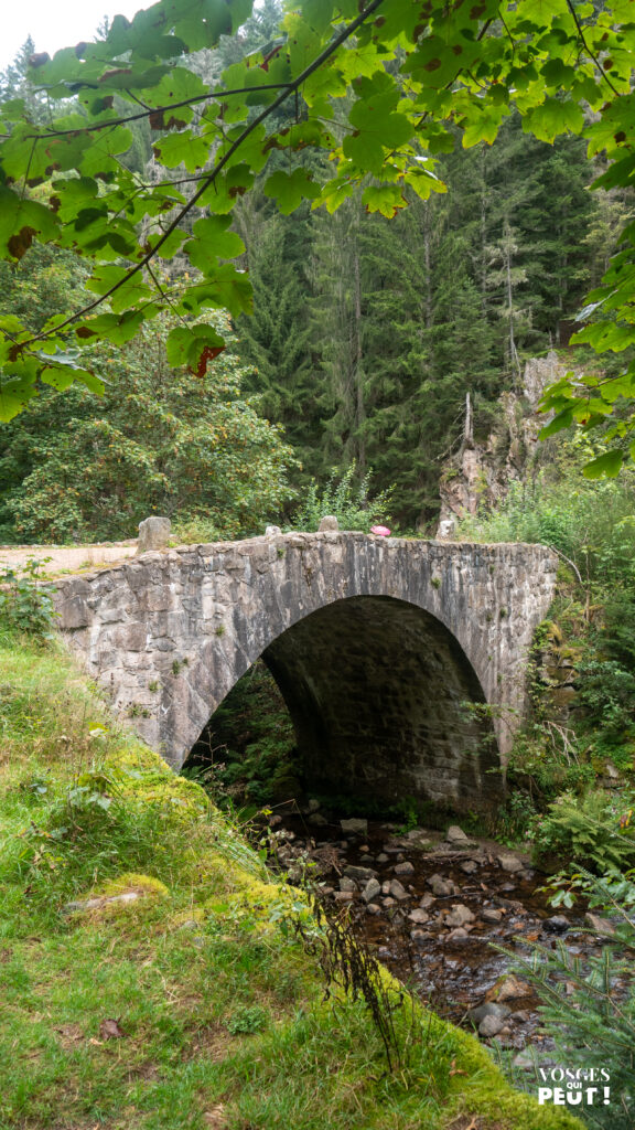 Pont des Fées au-dessus de la Jamagne à côté de Gérardmer dans le Massif des Vosges