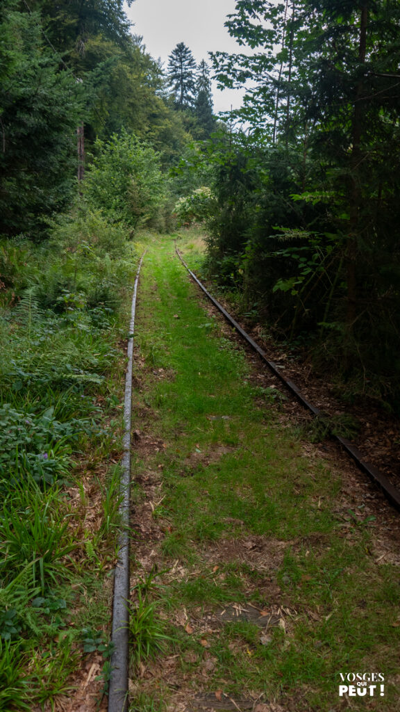 Ancienne voie ferrée longeant la Vologne dans le Massif des Vosges