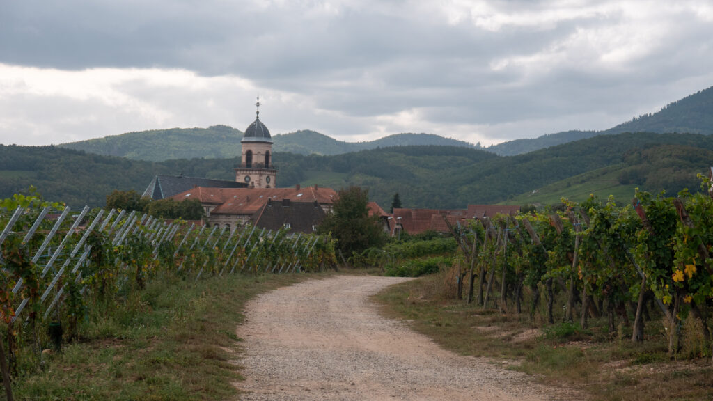 St-Hippolyte, village du vignoble alsacien sur la Route des Vins d'Alsace