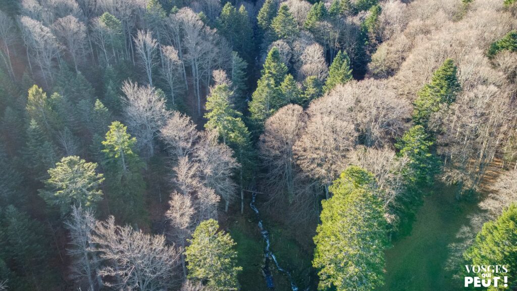 Vue aérienne d'une forêt en hiver dans le Massif des Vosges