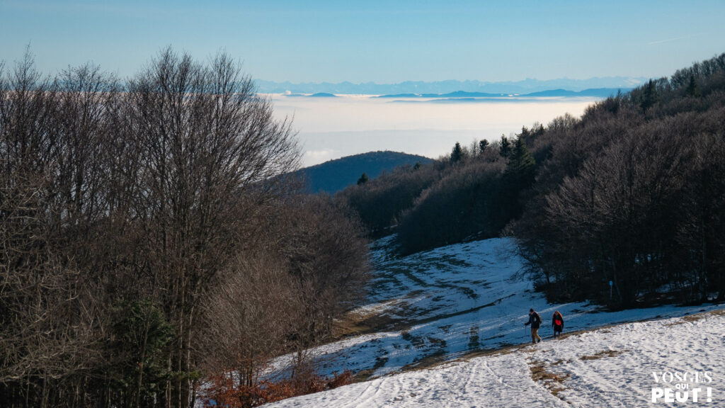 Vue sur les Alpes suisses depuis le Grand Ballon dans le Massif des Vosges