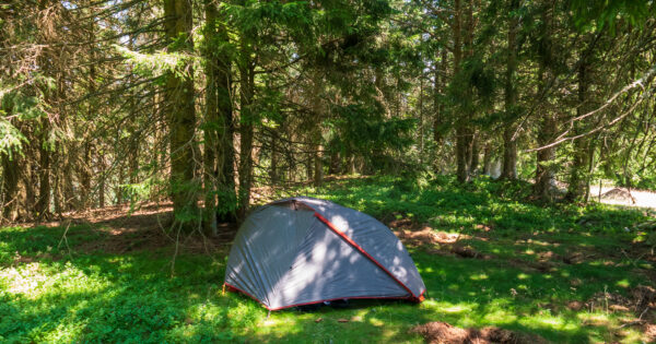 Quiétude Attitude : l&rsquo;outil ultime pour organiser son bivouac dans les Vosges