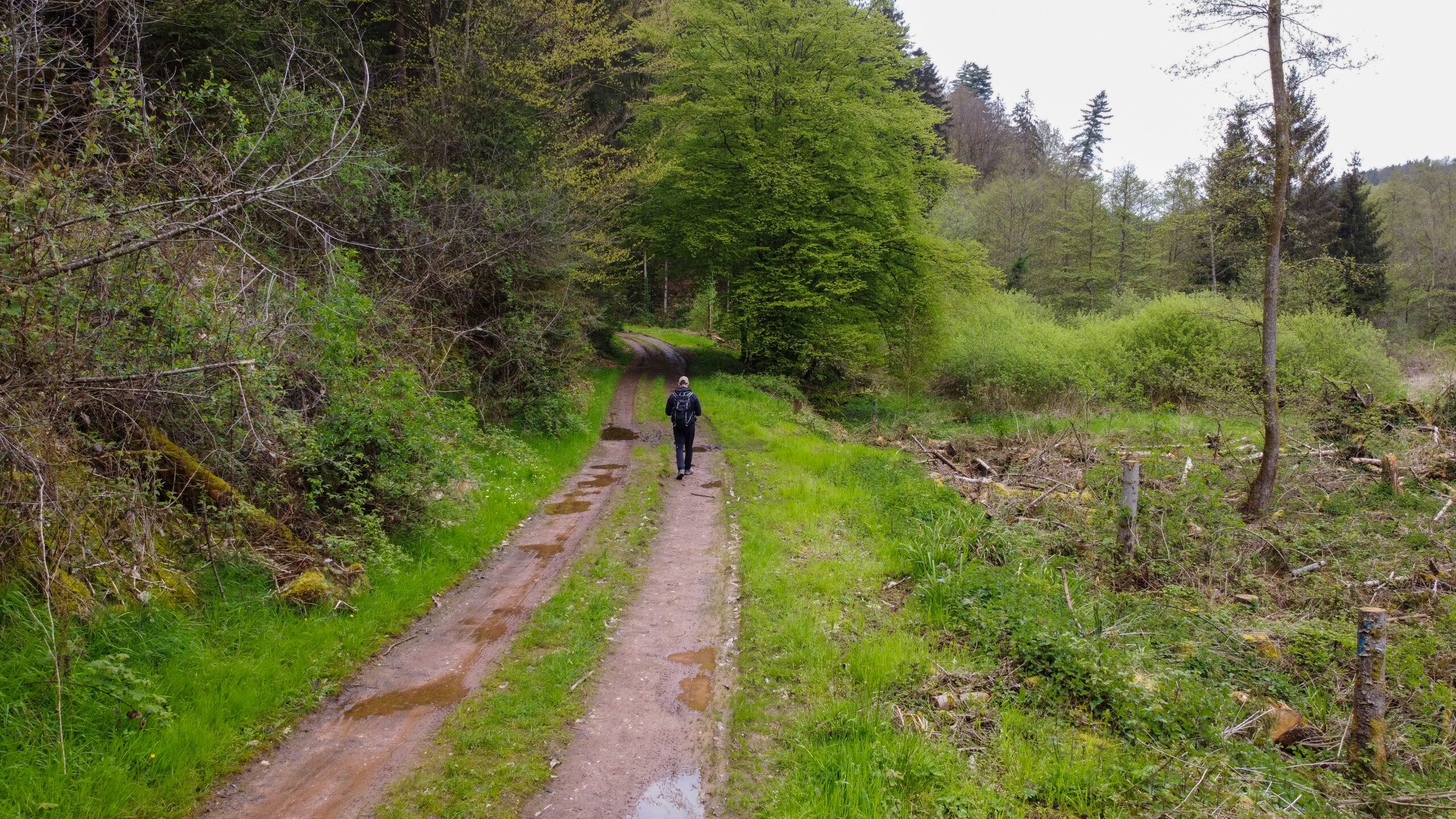 Faire organiser sa micro-aventure dans les Vosges : l’option Traces Vosges du Nord