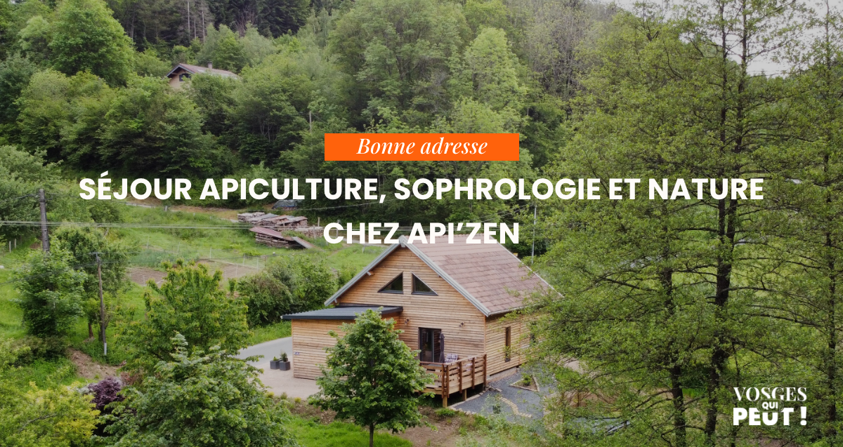Api Zenb Un week-end dans les Vosges au gîte nature Api'Zen