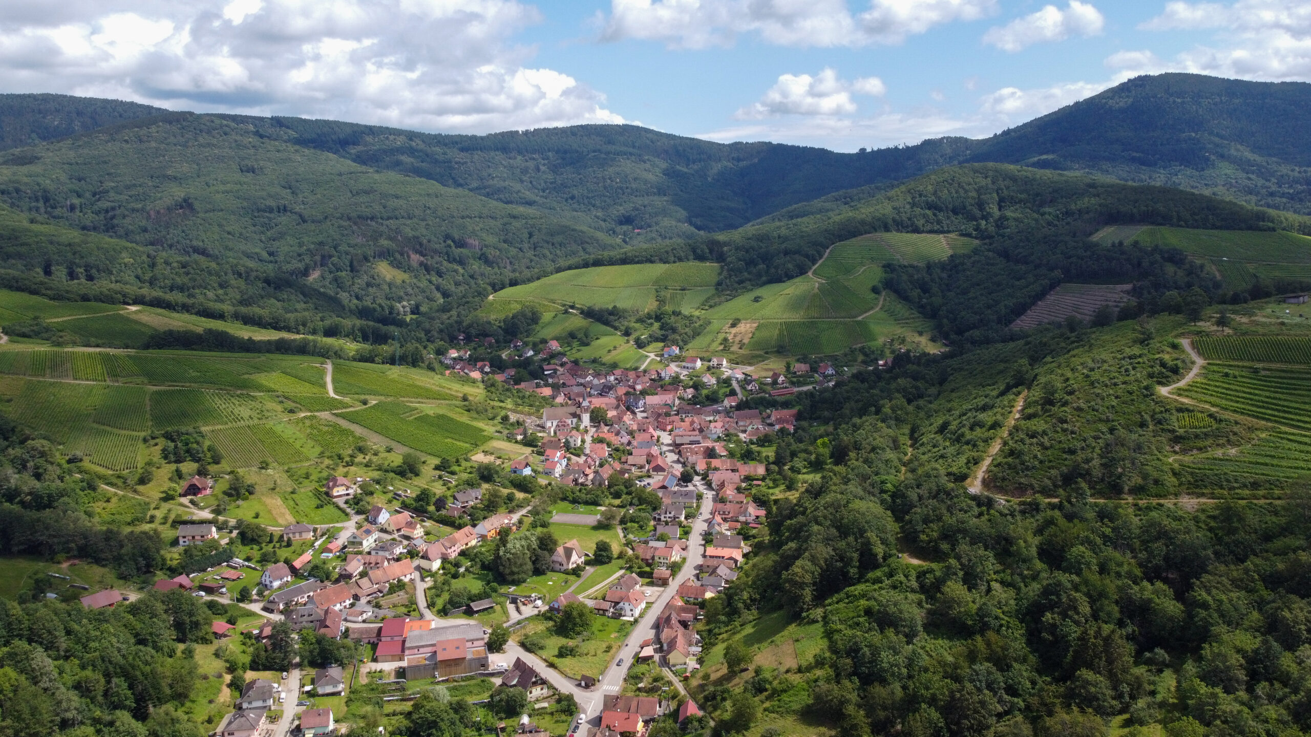 Entre vignes et forêt dans le Val de Villé