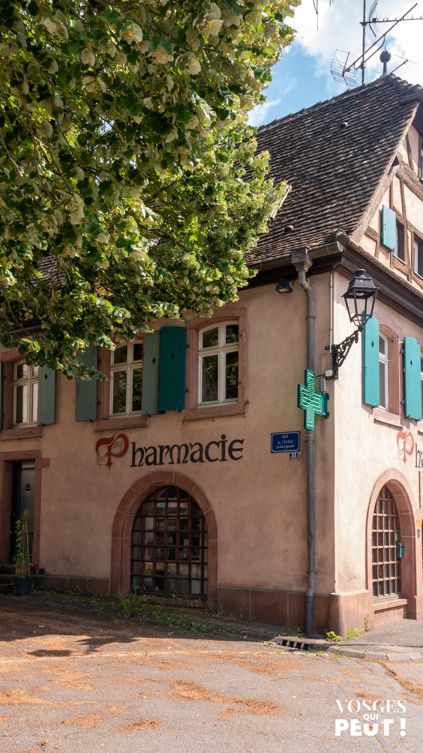 Pharmacie dans le Massif des Vosges