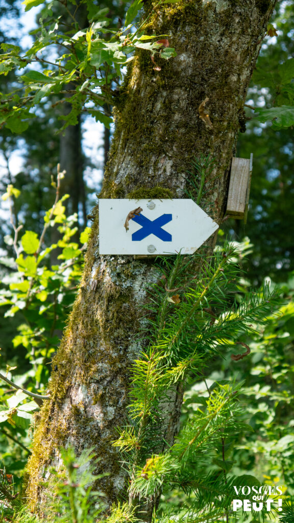 Panneau directionnel dans le Massif des Vosges