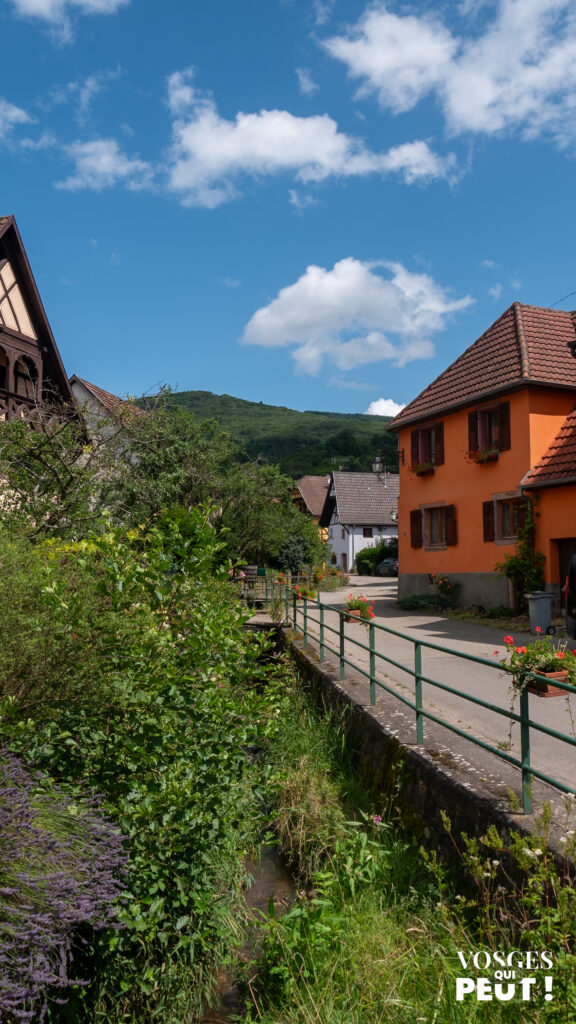 Village d'Albé dans le Massif des Vosges