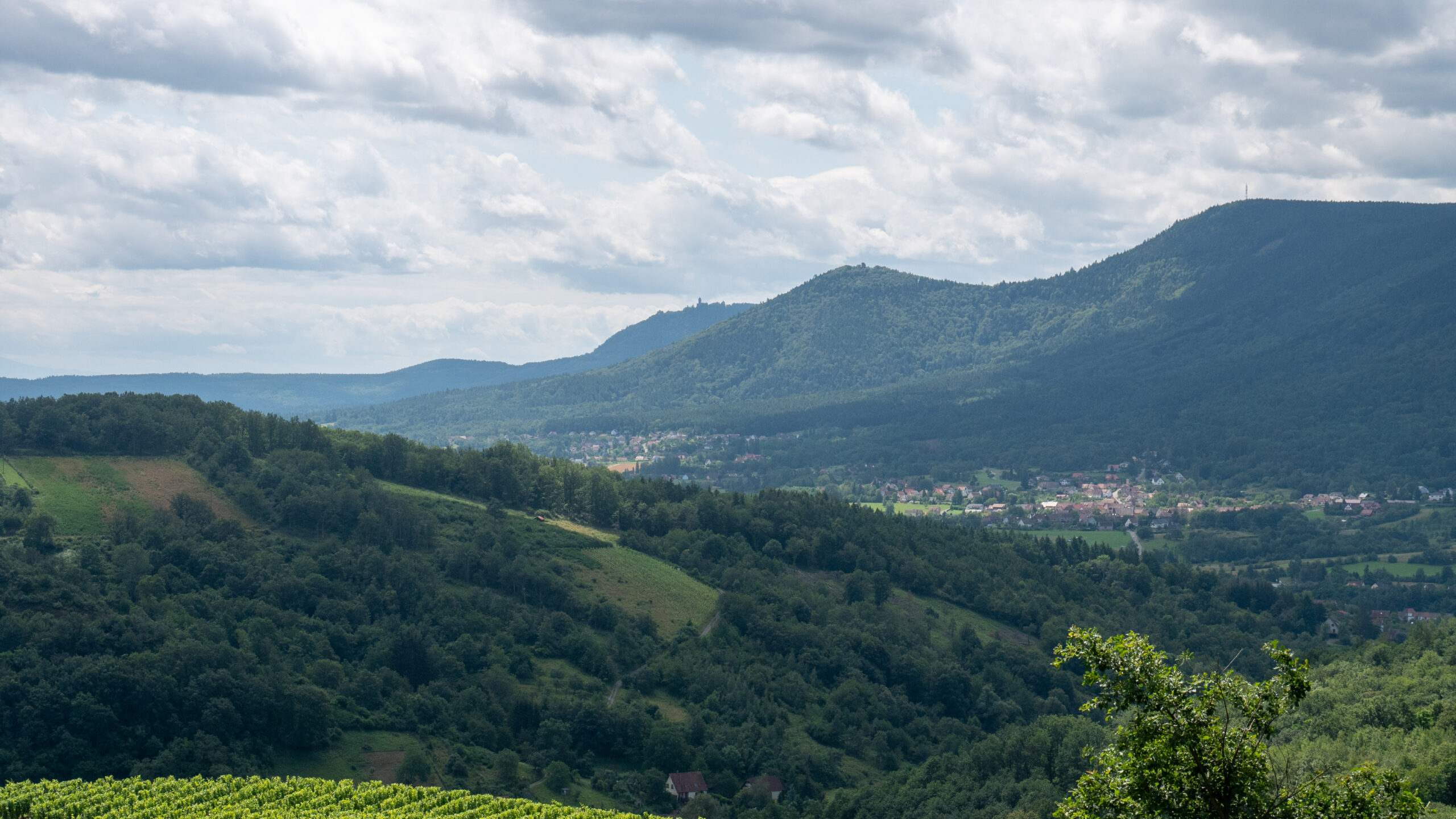 Le val de Villé dans le Massif des Vosges