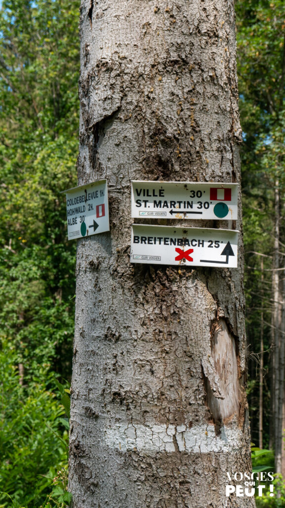 Panneau directionnel dans le Massif des Vosges