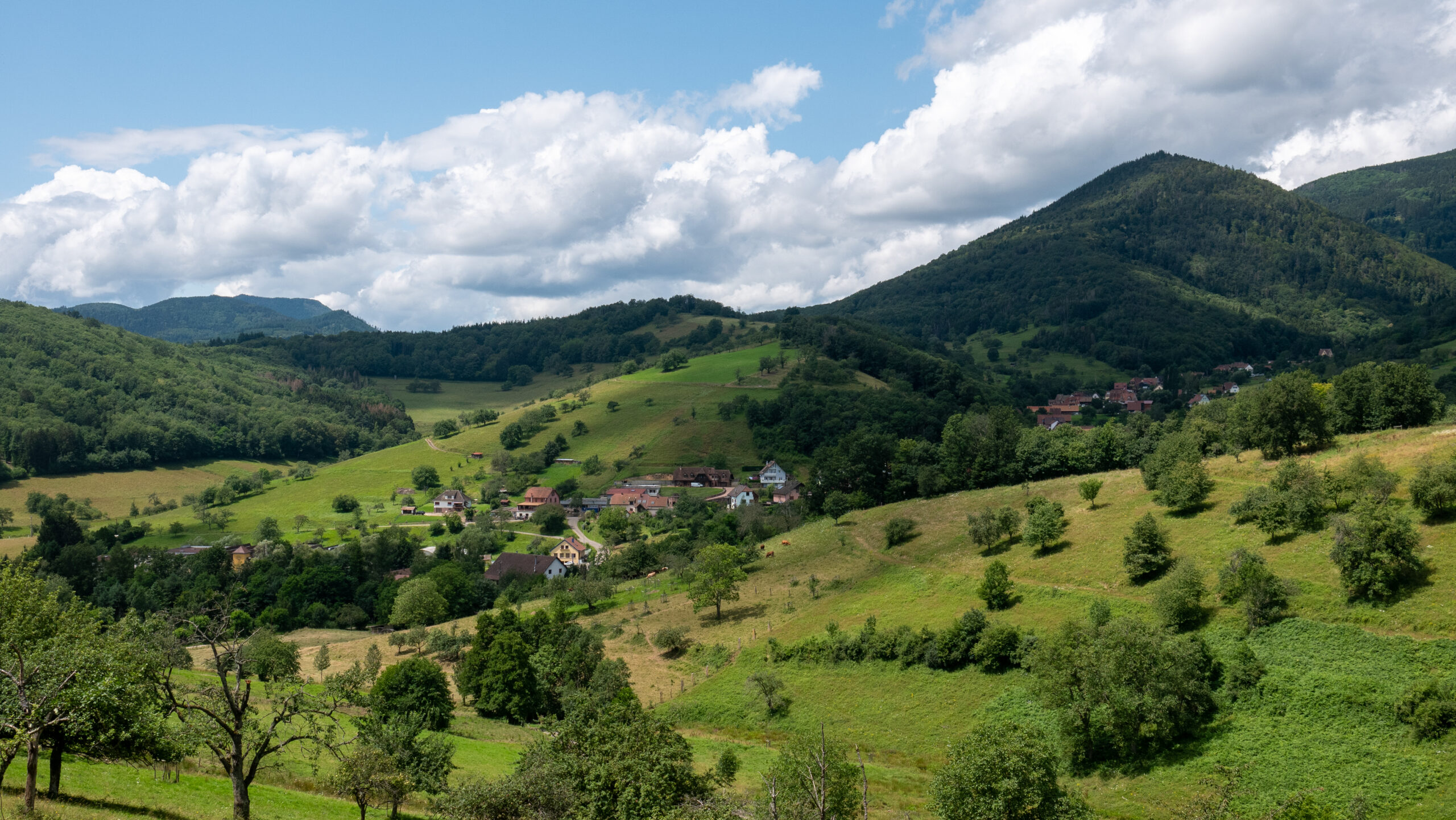 Le val de Villé dans le Massif des Vosges