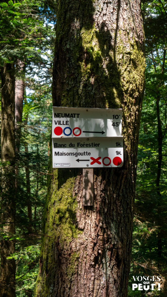 Panneau directionnel dans le Massif des Vosges