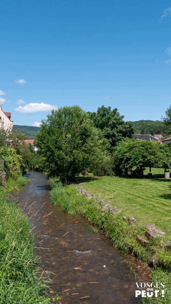 Parc de Villé dans le Massif des Vosges