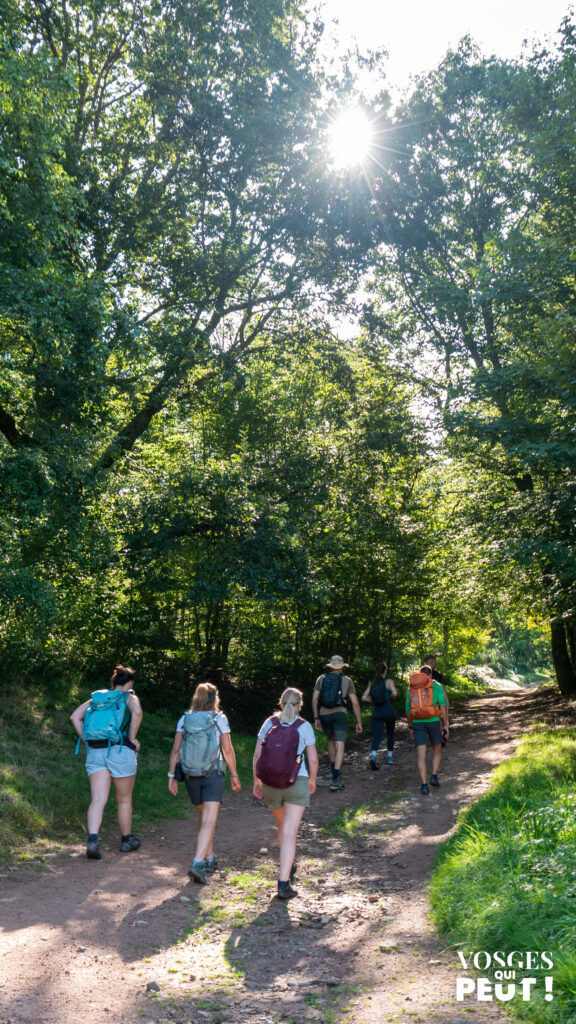 Groupe de randonneurs avec Columbia Hike Society Vosges