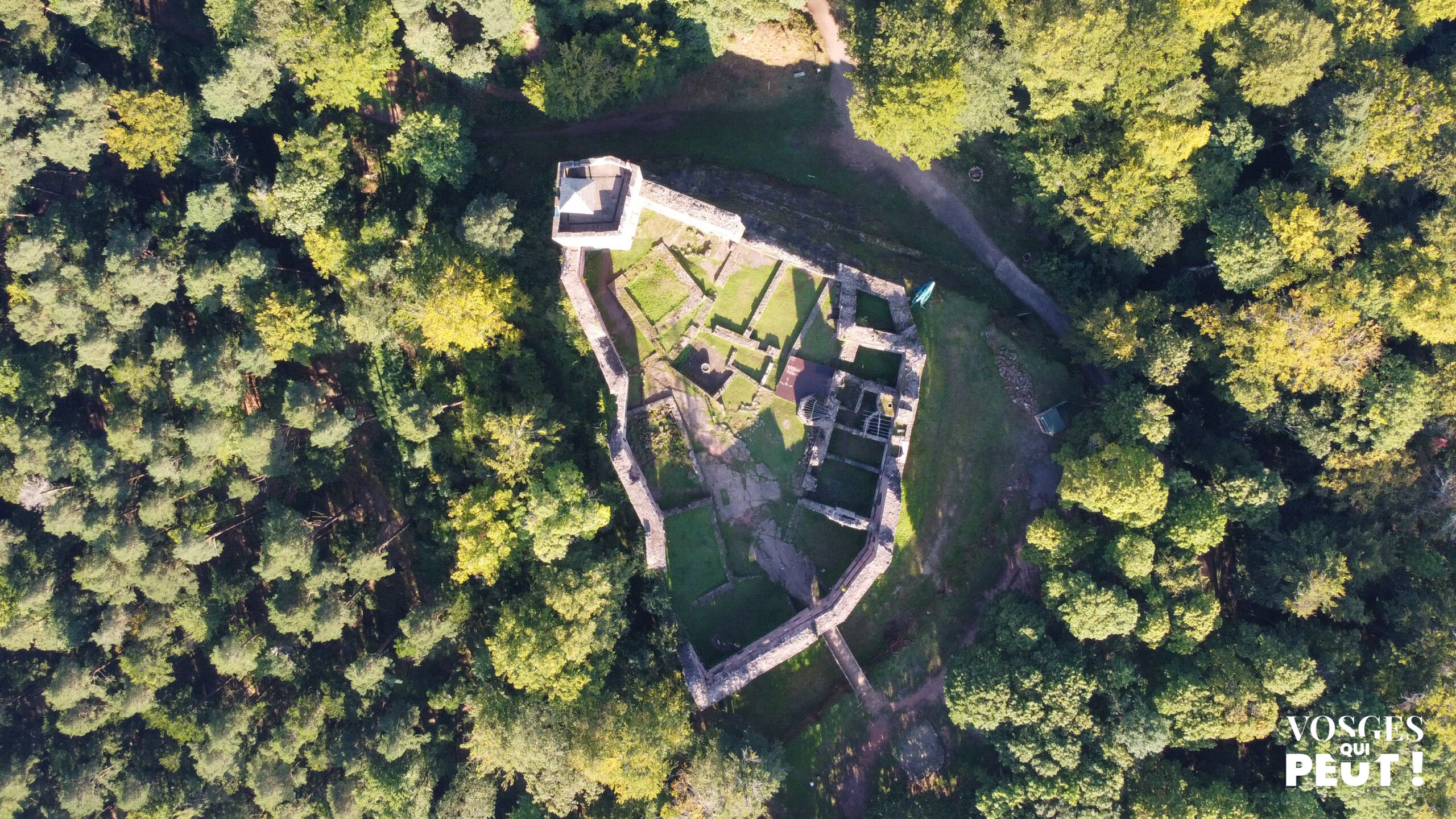 Vue aérienne sur le château de Wangenbourg dans le Massif des Vosges