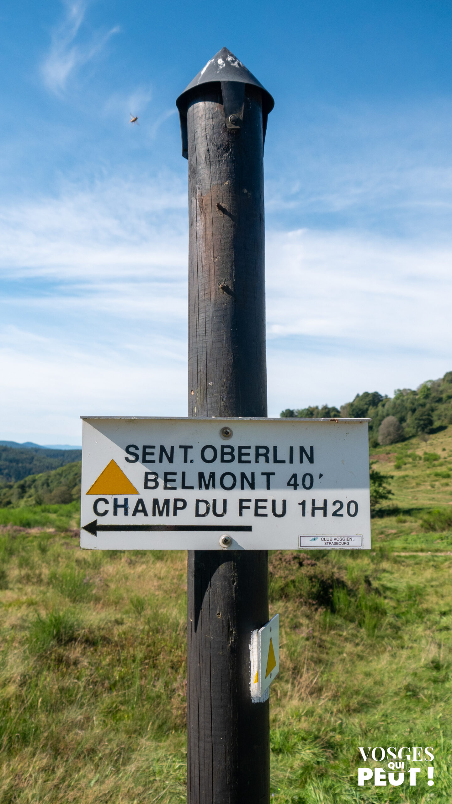 Panneau de balisage dans le Massif des Vosges sur le sentier Oberlin