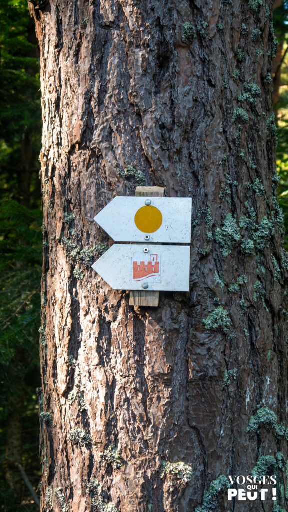 Balisage du Club Vosgien sur un sentier de randonnée dans le Massif des Vosges