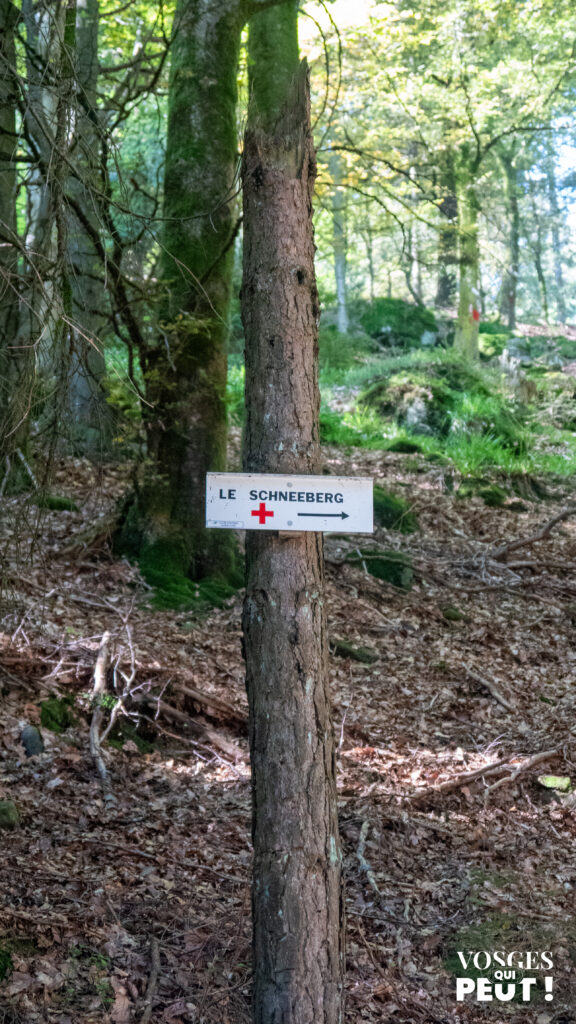 Balisage du Club Vosgien sur un sentier de randonnée dans le Massif des Vosges