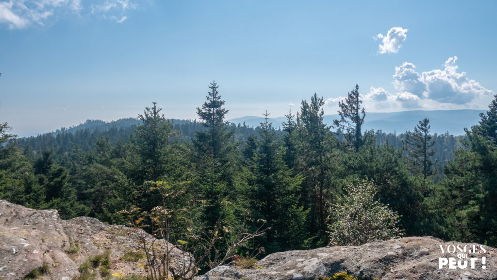 Vue du Massif des Vosges depuis le Schneeberg