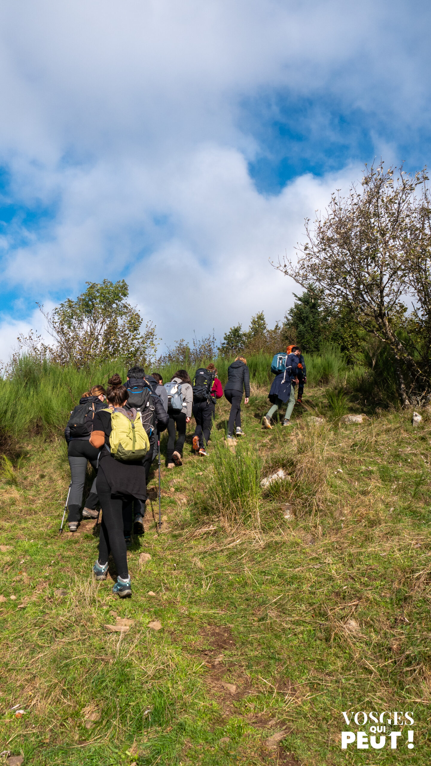 Randonneurs dans le Massif des Vosges