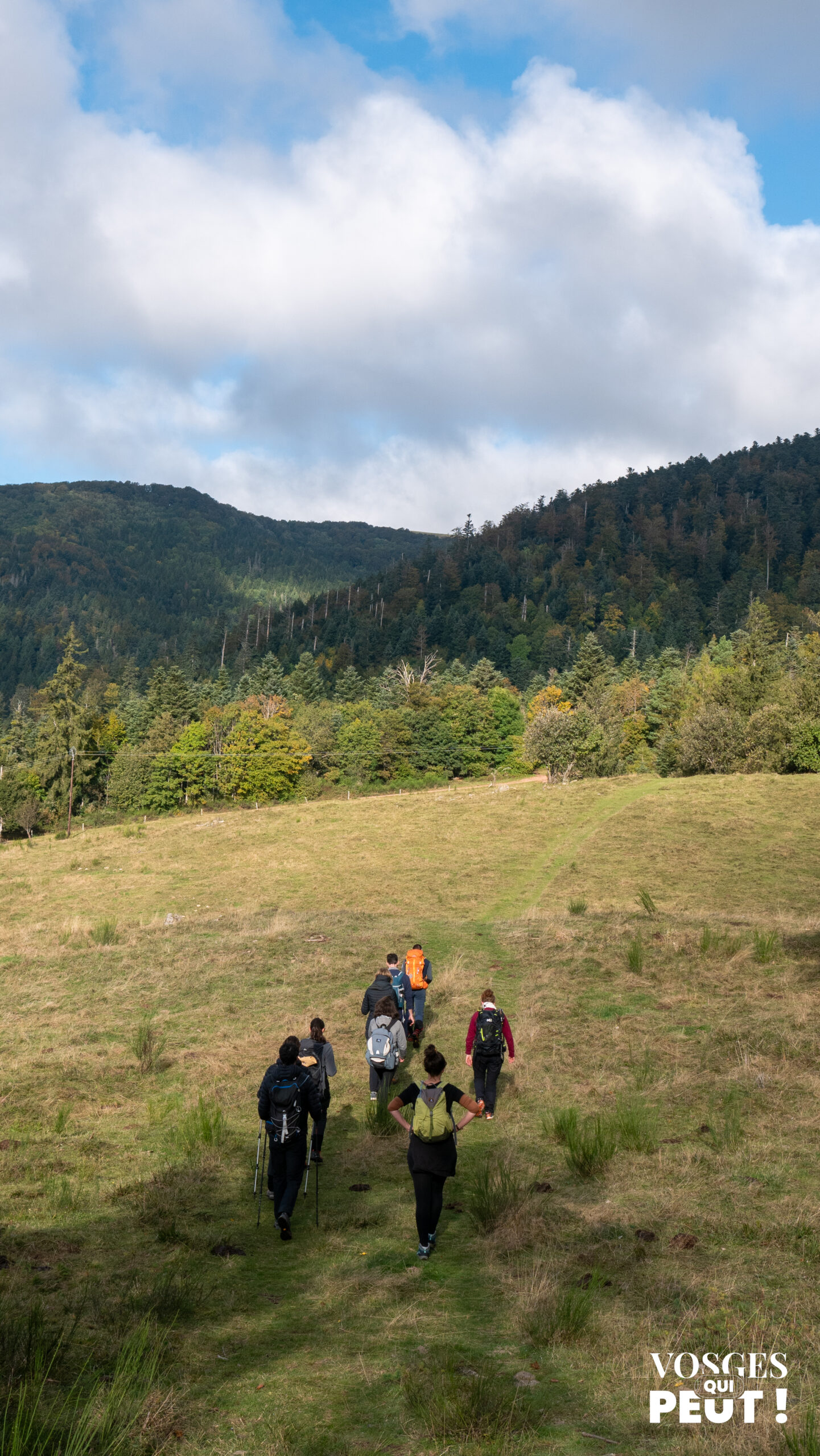 Randonneurs dans le Massif des Vosges