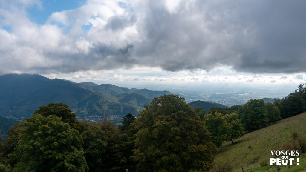 Vue sur la plaine d'Alsace depuis le Thanner Hubel