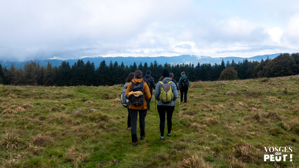 Randonneurs dans le Massif des Vosges