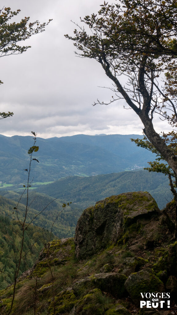 Rocher belvédère dans le Massif des Vosges