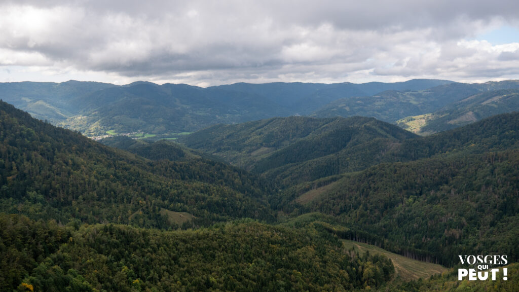 Vue sur la vallée de Masevaux dans le Massif des Vosges