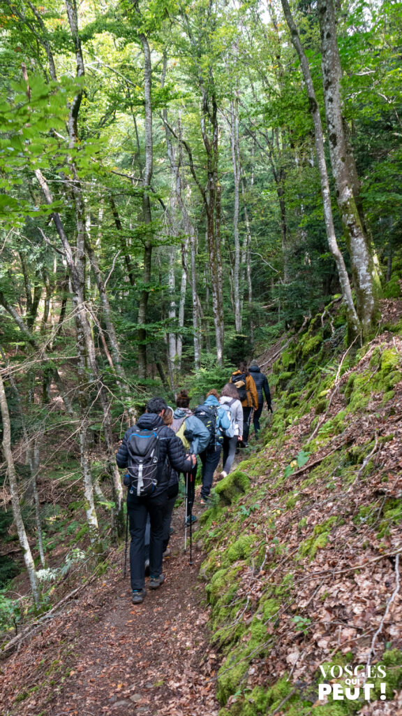 Groupe de randonneurs de la Columbia Hike Society dans le Massif des Vosges