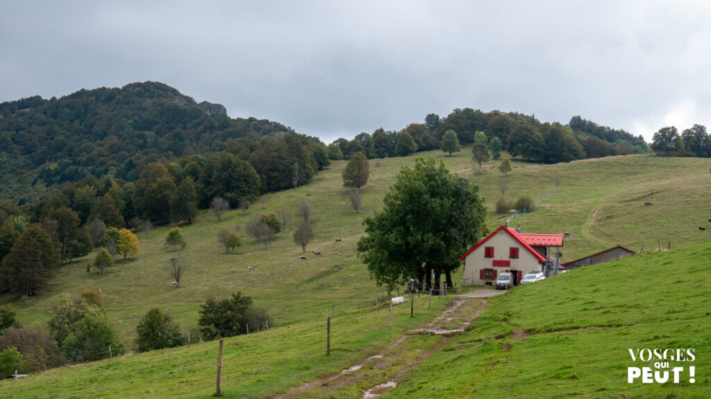 Ferme-auberge dans le Massif des Vosges